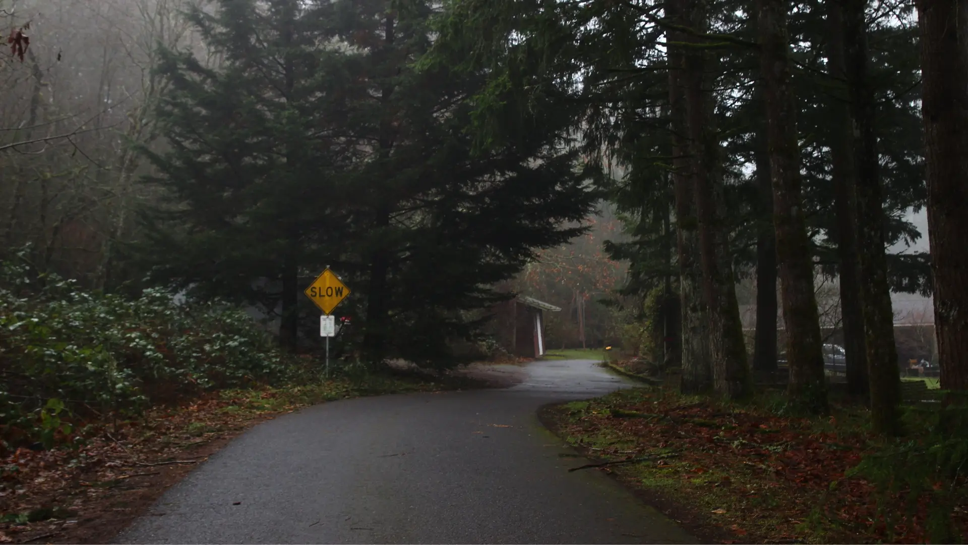 A road sign reads slow on a windy path