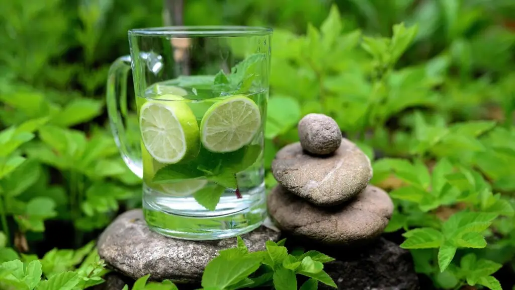 Detox