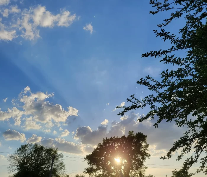 image of sky with sun setting through trees